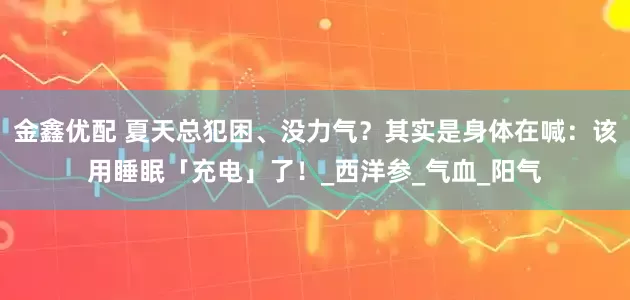 金鑫优配 夏天总犯困、没力气？其实是身体在喊：该用睡眠「充电」了！_西洋参_气血_阳气
