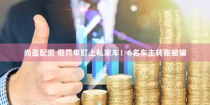 尚盈配资 假罚单盯上私家车！6名车主转账被骗