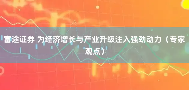 富途证券 为经济增长与产业升级注入强劲动力（专家观点）